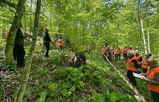 Gölyaka’da silvikültür tatbikatı yapıldı