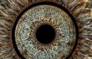 Gözler sanata dönüşüyor