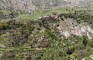 Gümüşhane’deki tarihi taş evler turizme kazandırılmayı...