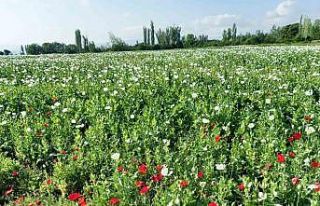 Günyüzü bu güzellikten mahrum kaldı