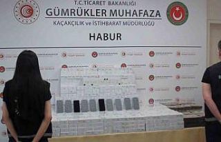 Habur Sınır Kapısı’nda kaçakçılığa göz...