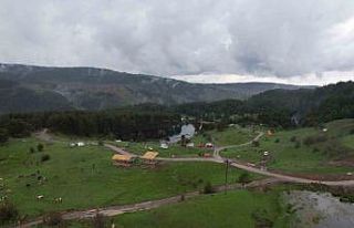 Hafta sonları Ankaralılar Kızılcahamam yaylalarında...