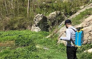 Hakkari’de sineklere karşı ilaçlama çalışmaları