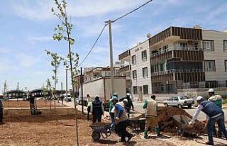 Haliliye’de parklar güzelleşiyor