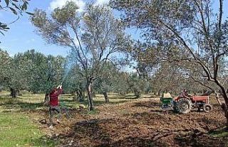 ’Halkalı leke hastalığı’ için ikinci ilaçlama...