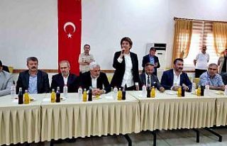 Hanımağa, Cumhurbaşkanı Erdoğan’a destek için...