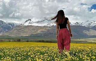 Hardal çiçekleri Tunceli’yi sarıya boyadı, ortaya...