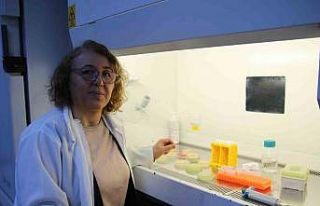 Hastalar antibiyotik kullanılmadan tedavi olabilecek