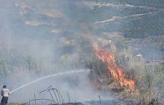 Hatay’da anız yangınında tarladaki samanlar yandı