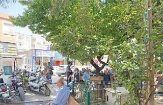 Hatay’da sıcak hava etkili oluyor