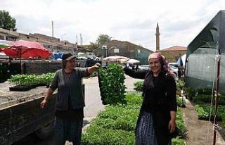 Havaların ısınması fide satışlarına yaradı