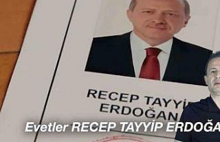 Haydi sandığa EVET’ler Recep Tayyip Erdoğan’a