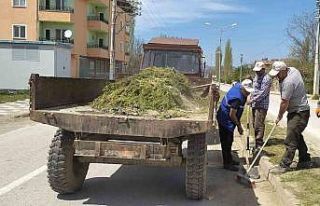 Hisarcık’ta yabani ot temizliği