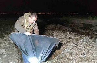 İnci kefali için gece denetimi