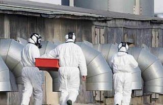 İngiltere’de çiftlikte çalışan iki kişide...