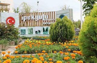 İpekyolu’nda 100 binlerce çiçek toprakla buluşuyor