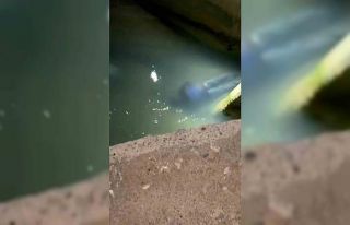 İran uyruklu çobanın cesedi su kanalında bulundu