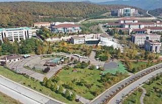 İş hayatında yabancı dil önemli