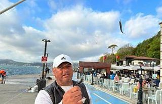 İstanbul Boğazı’nda istavrit bolluğu oltacıları...