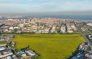 Istanbul’da Kanola Tarlası manzarası görenleri...