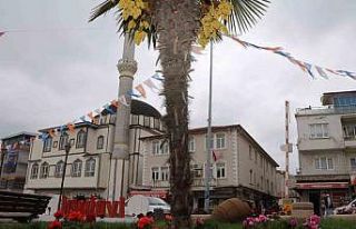 İvrindi’de çiçekler açtı