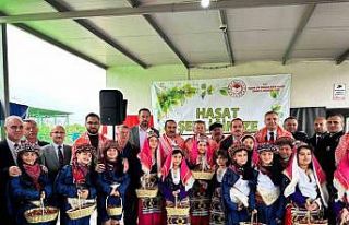 İzmir Kemalpaşa’da yılın ilk kiraz hasadı yapıldı