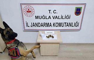 Jandarma 4 günde 147 operasyon yaptı