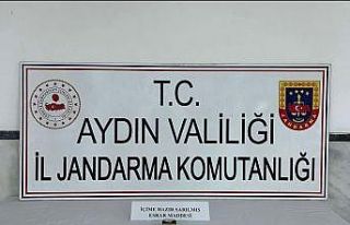 Jandarma uyuşturucuya geçit vermiyor: 1 gözaltı