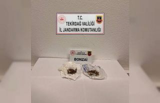 Jandarmadan uyuşturucu operasyonu: Bonzai ele geçirildi