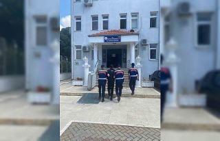 Jandarmadan uyuşturucu ve kaçakçılık operasyonları:...