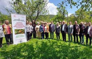 Kadın çiftçiler kurt üzümü ile gelirlerini arttırılacak