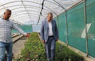 Kahta’da çiçek serası kuruldu