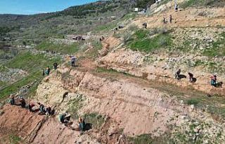 Kahveci Dağı eteklerine 2 bin sedir fidanı dikiliyor