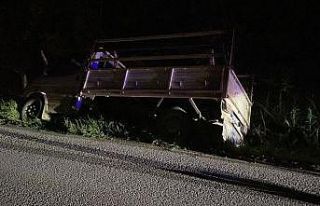 Kamyonet sulama kanalına düştü: 1 yaralı