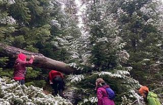 Kar yağışını fırsat bilen doğaseverler yaylada...