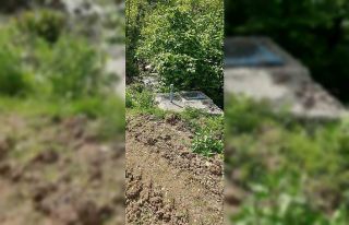 Karaamca’nın suyu dereden değil kaynaktan