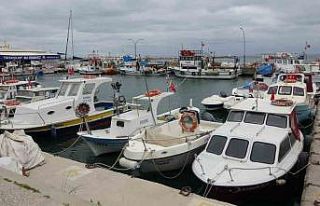 Karabiga’da jumbo karides av sezonu 15 Mayıs’ta...