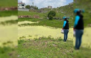 Karakoçan’da ilaçlama çalışmaları sürüyor