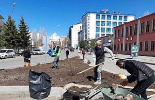 Kars’ta park, bahçe ve refüjler çiçek açıyor