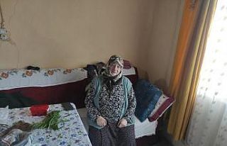 Kars’ta yaşlı kadının evini soydular