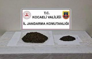 Kartepe’de jandarmadan uyuşturucu operasyonu