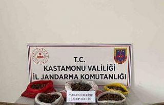 Kastamonu’da 22,5 kilogram sahleple yakalanan 3...