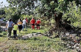 Kayalıklarda yaralanan turist ile mahsur kalan keçi...