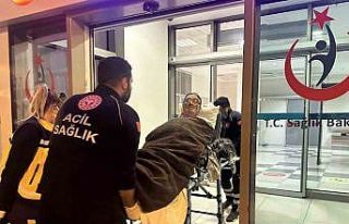 Kaybolduğu ormanda 14 gün boyunca mağaraya sığınıp,...