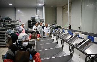 Kayseri’deki tesiste günlük 60 ton balık işleniyor