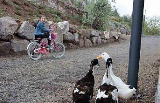 Kayserililerin yeni mekanı: Zincidere 100. Yıl Mesire...