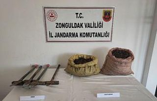Kdz Ereğli’de 32,2 kilo salep soğanı ele geçirildi