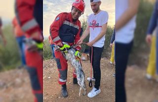 Kendisini kurtarmaya gelen itfaiye erini görünce...