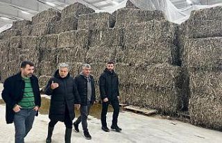 Kenevir işleme fabrikası çalışmaları sürüyor