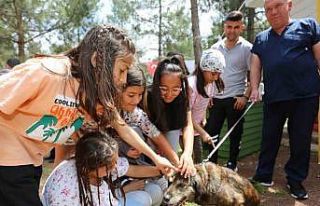 Kepez’in Pati Atölyesi’nden sokak hayvanlarına...